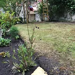 Georgian Townhouse - Garden Oasis شقة